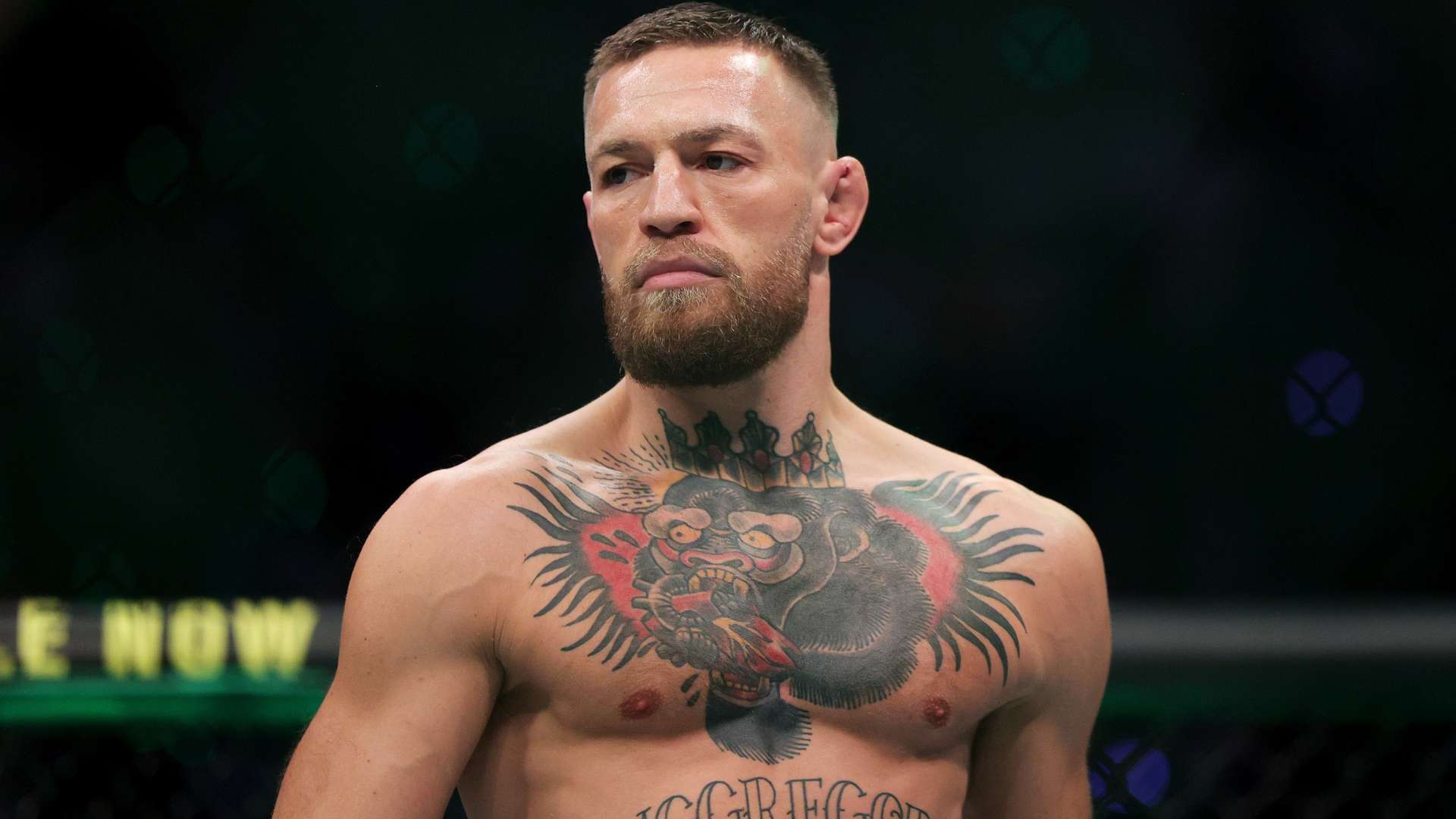 2023烏茲別克斯坦U-20亞洲杯分組情況.